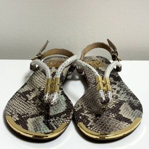 The Dolce Vita Women's Archer Thong Sandal in size 7.5 snakeprint